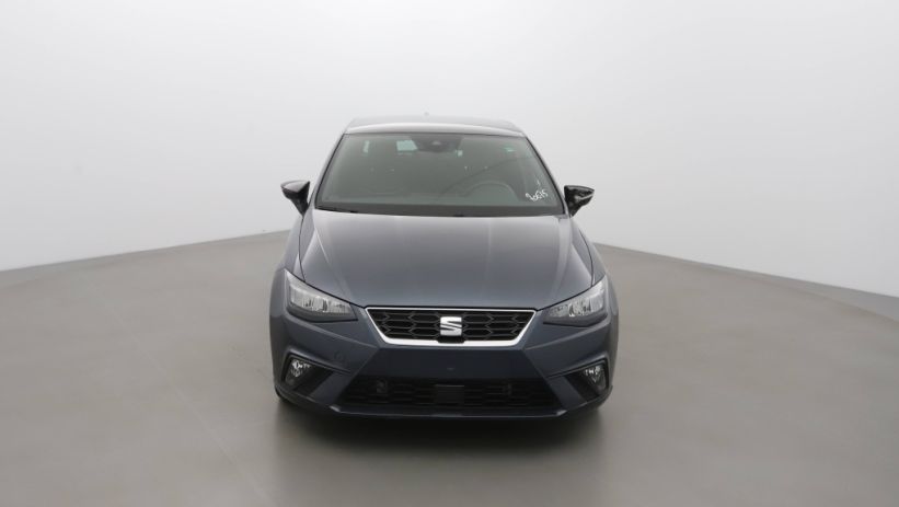 Aperçu du véhicule : 1.0 TSI 95CH FR