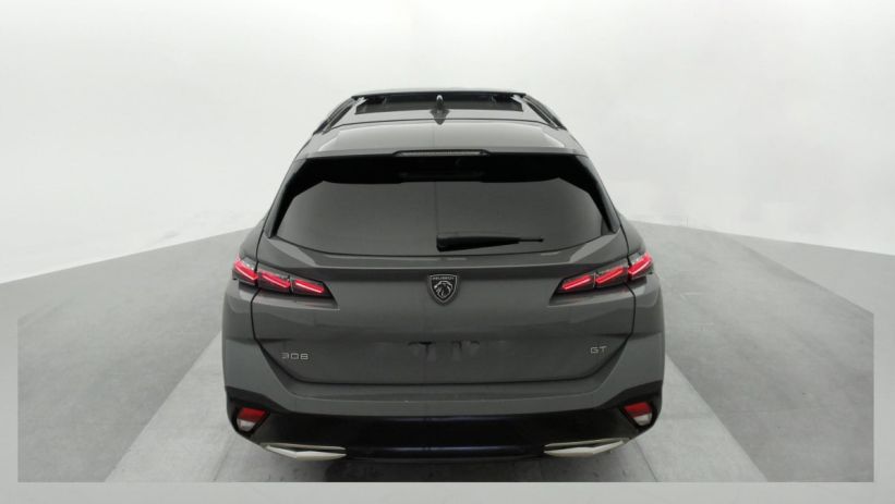 Aperçu du véhicule : Hybrid 145 e-DCS6 GT