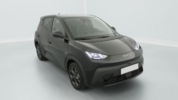 Aperçu du véhicule : 43.2 kWh 156 ch Comfort