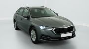 Aperçu du véhicule : 1.0 TSI mHEV e-TEC 110 ch DSG7 Ambition