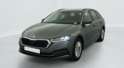 Aperçu du véhicule : 1.0 TSI mHEV e-TEC 110 ch DSG7 Ambition