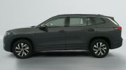 Aperçu du véhicule : 2.0 TDI 150ch DSG7 7pl Life