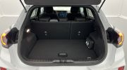 Aperçu du véhicule : 1.0 EcoBoost 125ch mHEV Powershift ST-Line