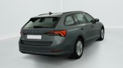 Aperçu du véhicule : 1.0 TSI mHEV e-TEC 110 ch DSG7 Ambition
