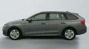 Aperçu du véhicule : 1.0 TSI mHEV e-TEC 110 ch DSG7 Ambition
