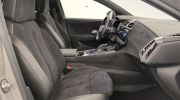 Aperçu du véhicule : Hybride Rechargeable E-Tense 300 EAT8 4x4 Performance Line +
