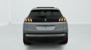 Aperçu du véhicule : Hybrid 225 e-EAT8 GT
